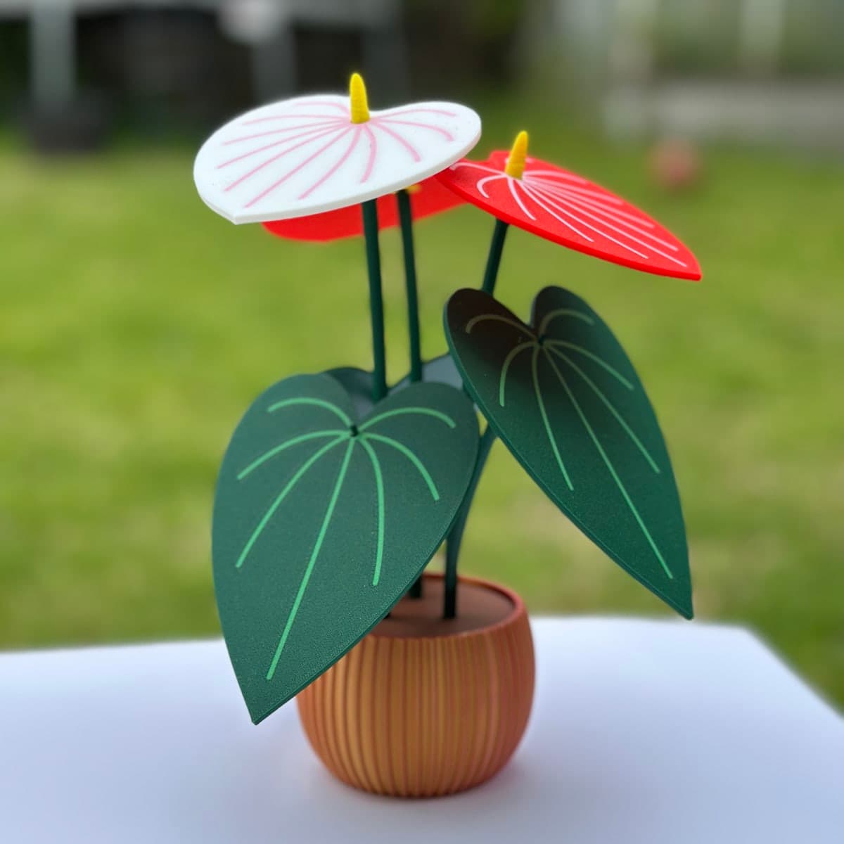 Anthurium Coaster Set (6 coasters)